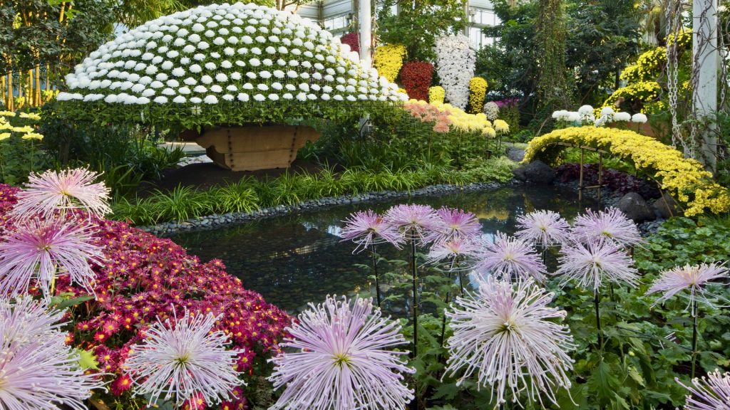 New York Botanical Garden, Healthy Living + Travel