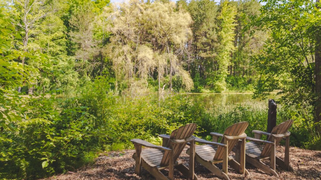 Forest Bathing at Scandinave Spa Blue Mountain, Healthy Living + Travel